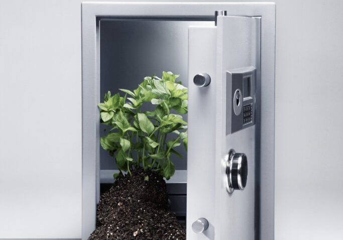 Plant and soil in a safe
